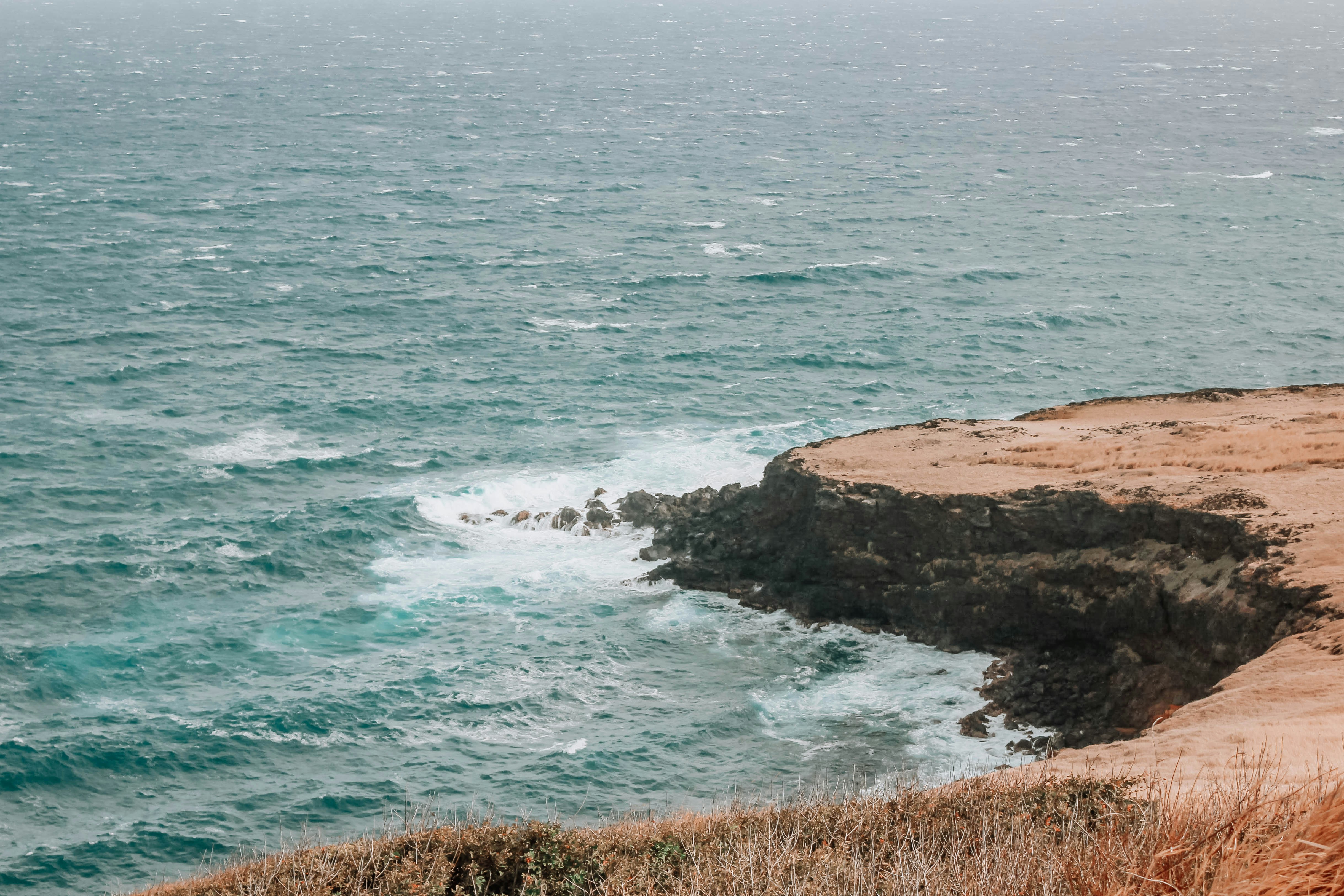 Photo by morganalicia