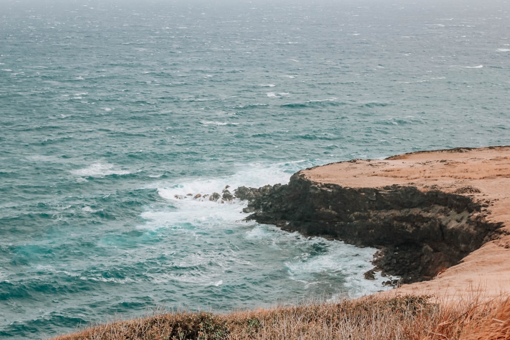 brown rocky shore near body of water during daytime