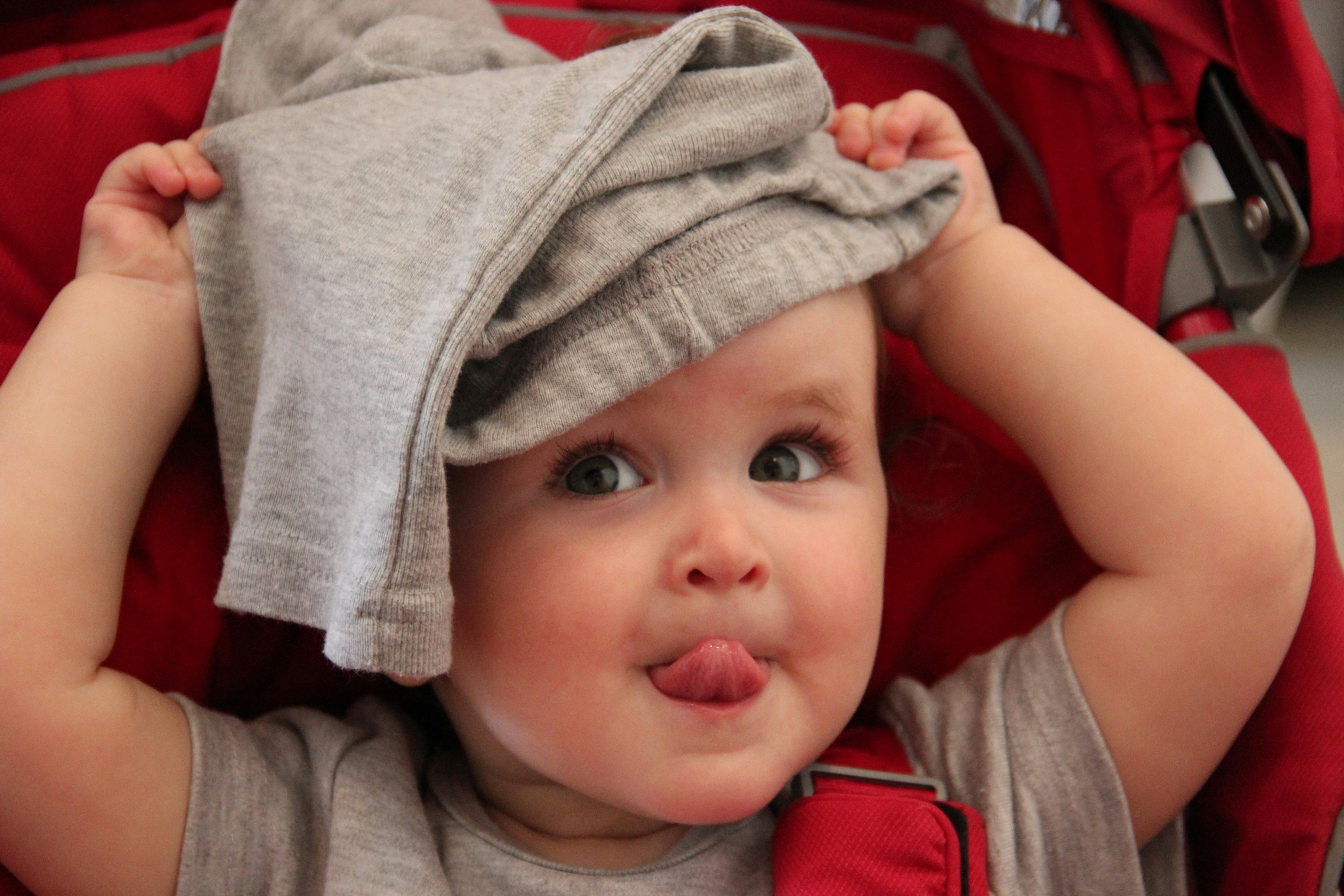 Photo by shalevcohen