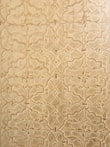 An intricate pattern of floral and geometric shapes etched into a textured surface. The design features repeating motifs with a slightly vintage and ornate appearance.