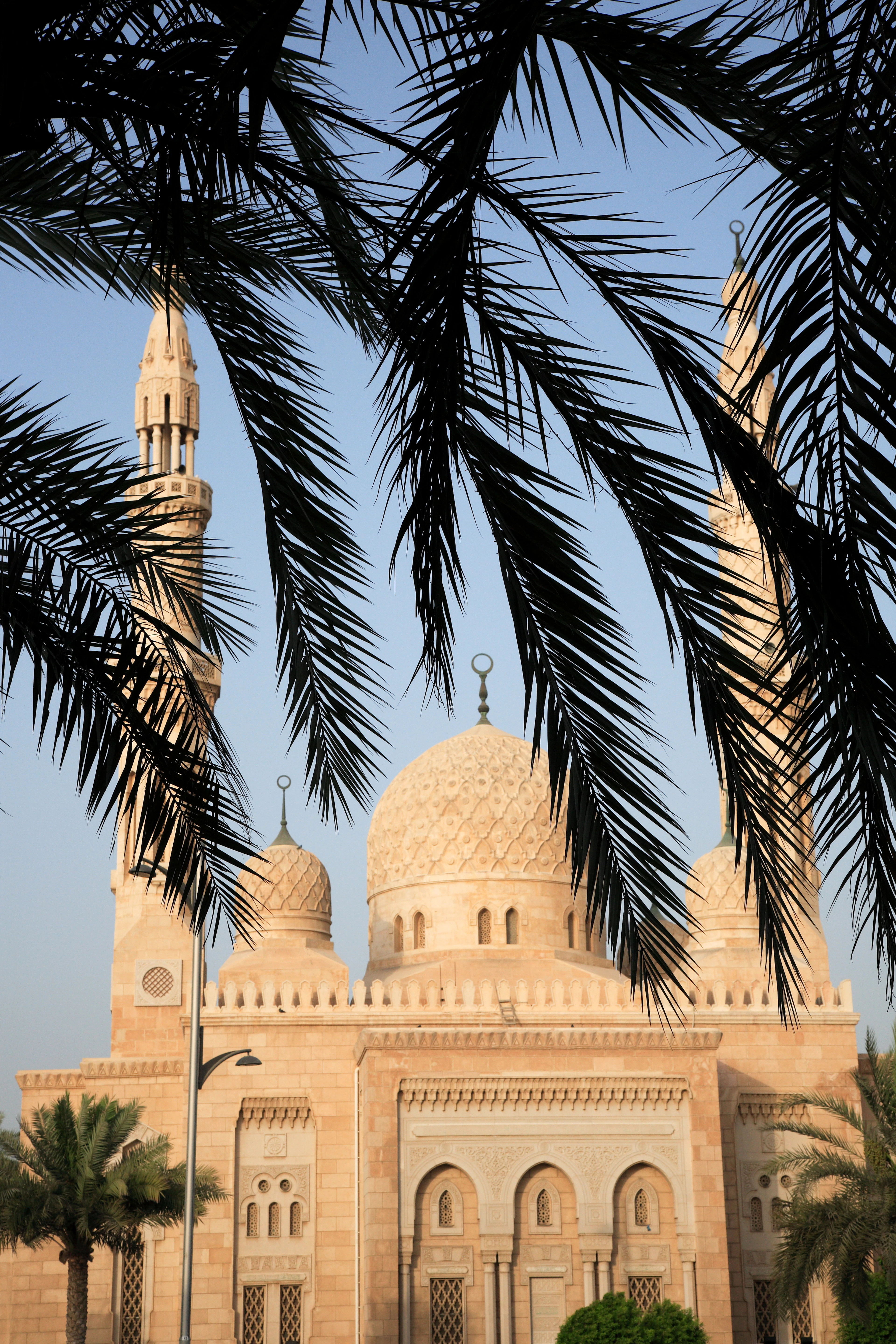 White mosque domes framed by palm leaves in Jumeirah