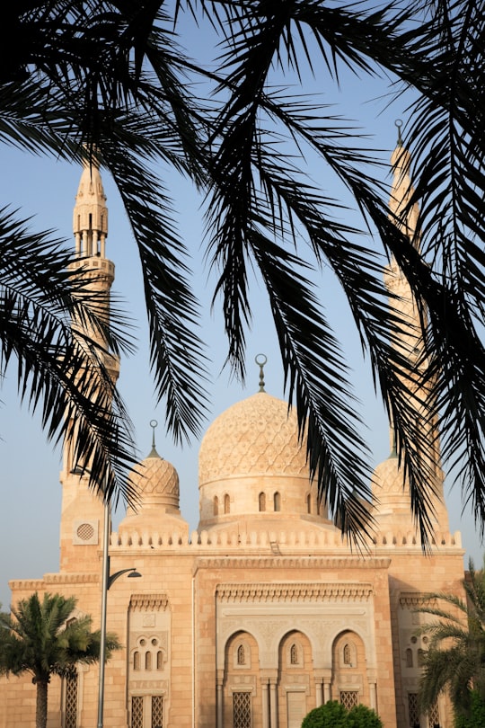 white concrete building near palm trees during daytime in Jumeirah Mosque United Arab Emirates