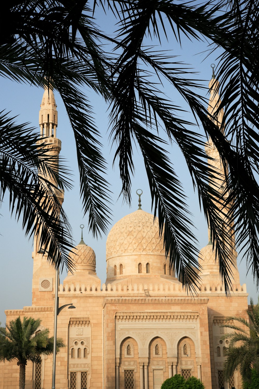 edificio in cemento bianco vicino alle palme durante il giorno