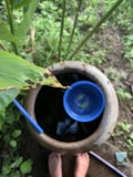 A ceramic water jar filled with dark water has a blue bowl floating on its surface. Part of a large green leaf with some brown spots frames the left side of the scene. Bare feet are visible at the bottom of the image, standing on wooden planks. Lush green vegetation surrounds the jar, providing a natural setting.