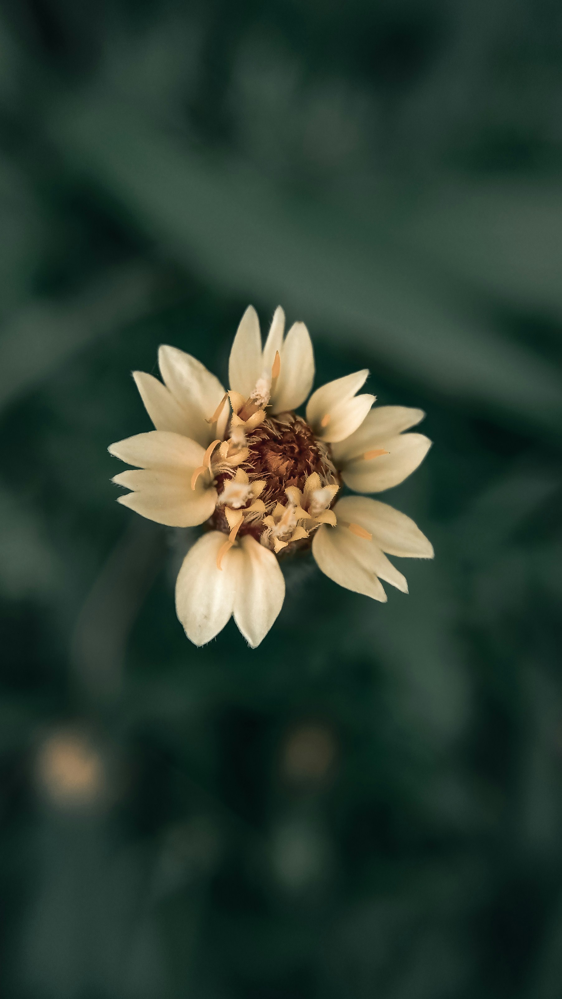 Photo by ghostsxmanjit