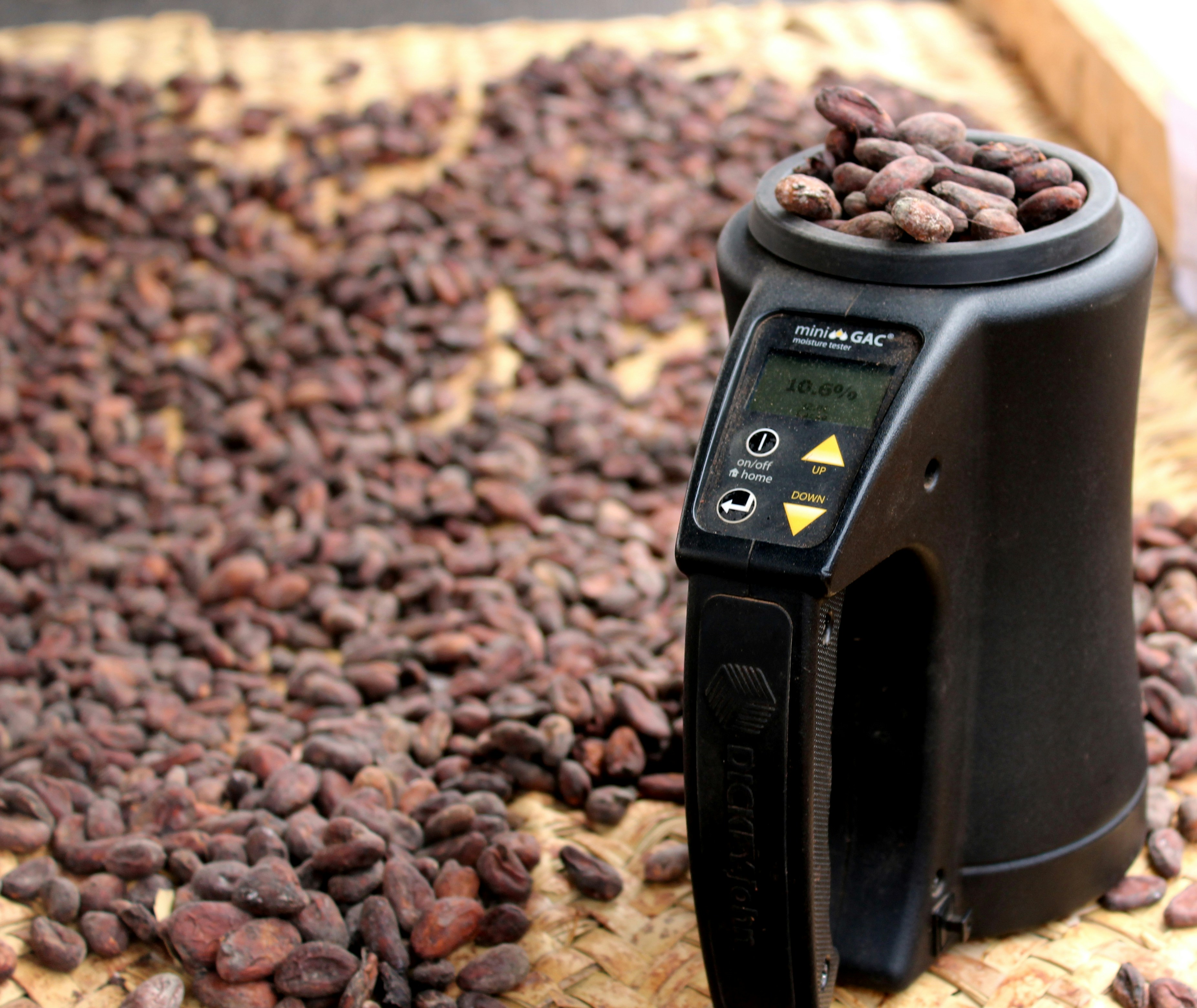 black digital device on brown leaves haiti teams background