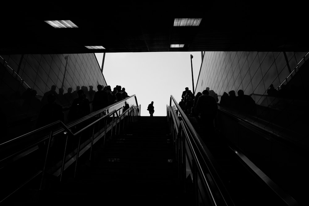 people sitting on stairs in grayscale photography