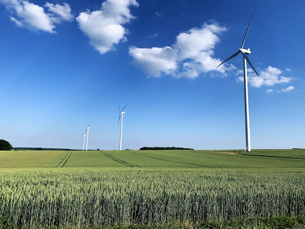 Weiße Windräder tagsüber auf grünem Rasenfeld unter blauem Himmel