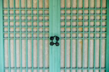 A traditional wooden door features a grid design with vertical and horizontal green wooden slats. The background material behind the grid appears to be paper-like, adding a textured look. Two ornate black metal handles are centrally placed, providing a focal point and contrast to the green and beige tones.