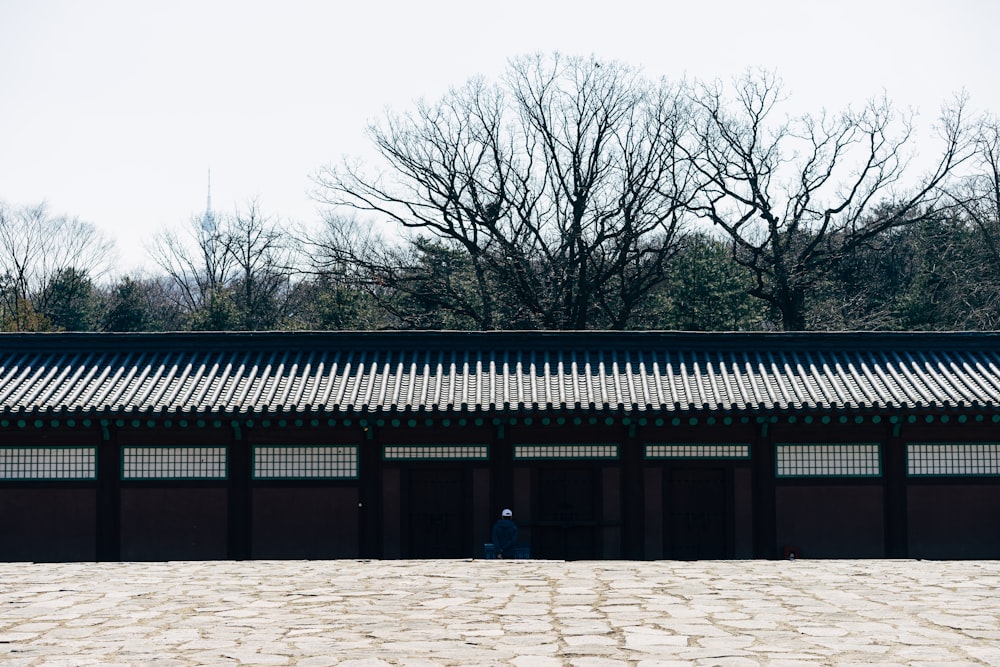 brown concrete building near bare trees during daytime