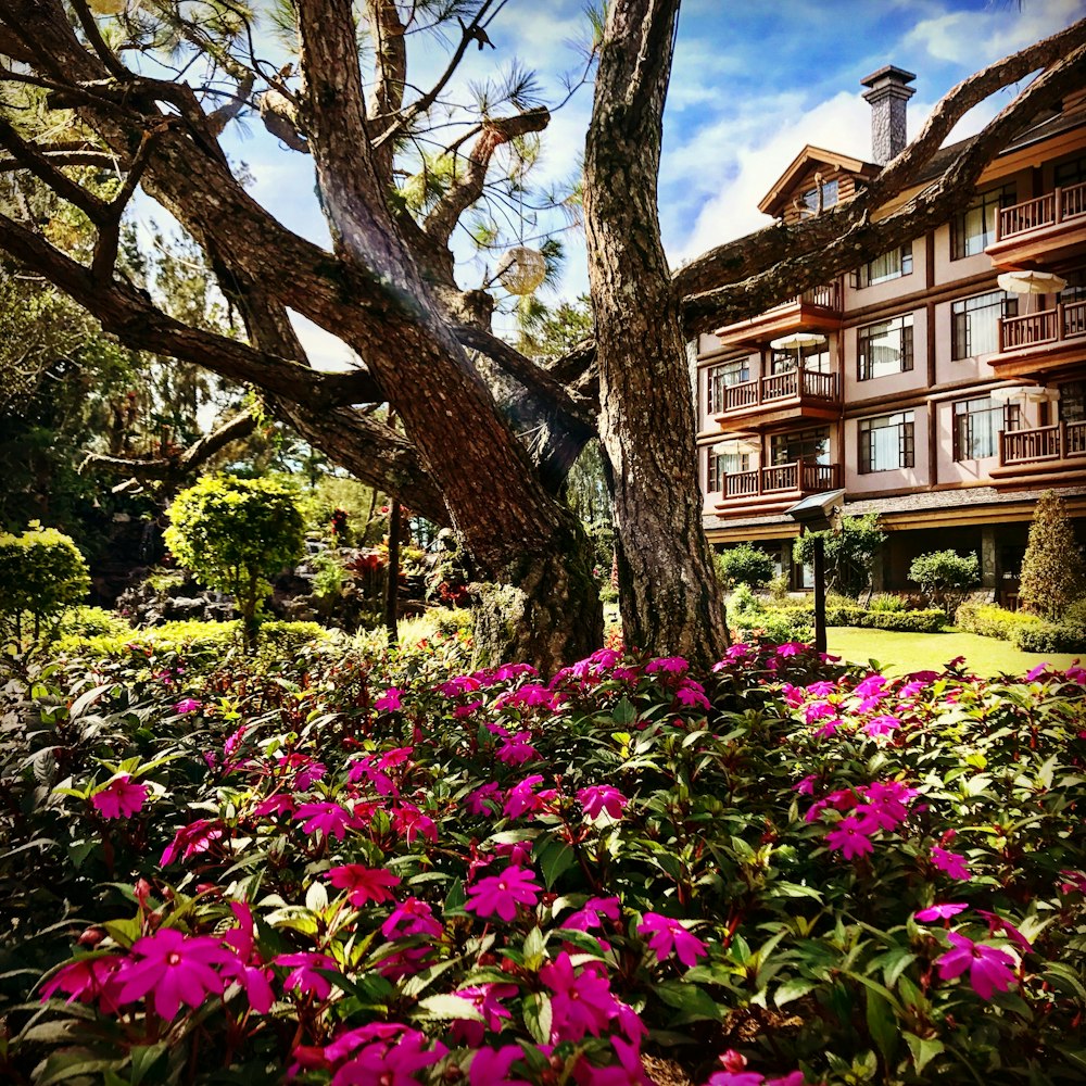 Un edificio con balcones y flores en primer plano