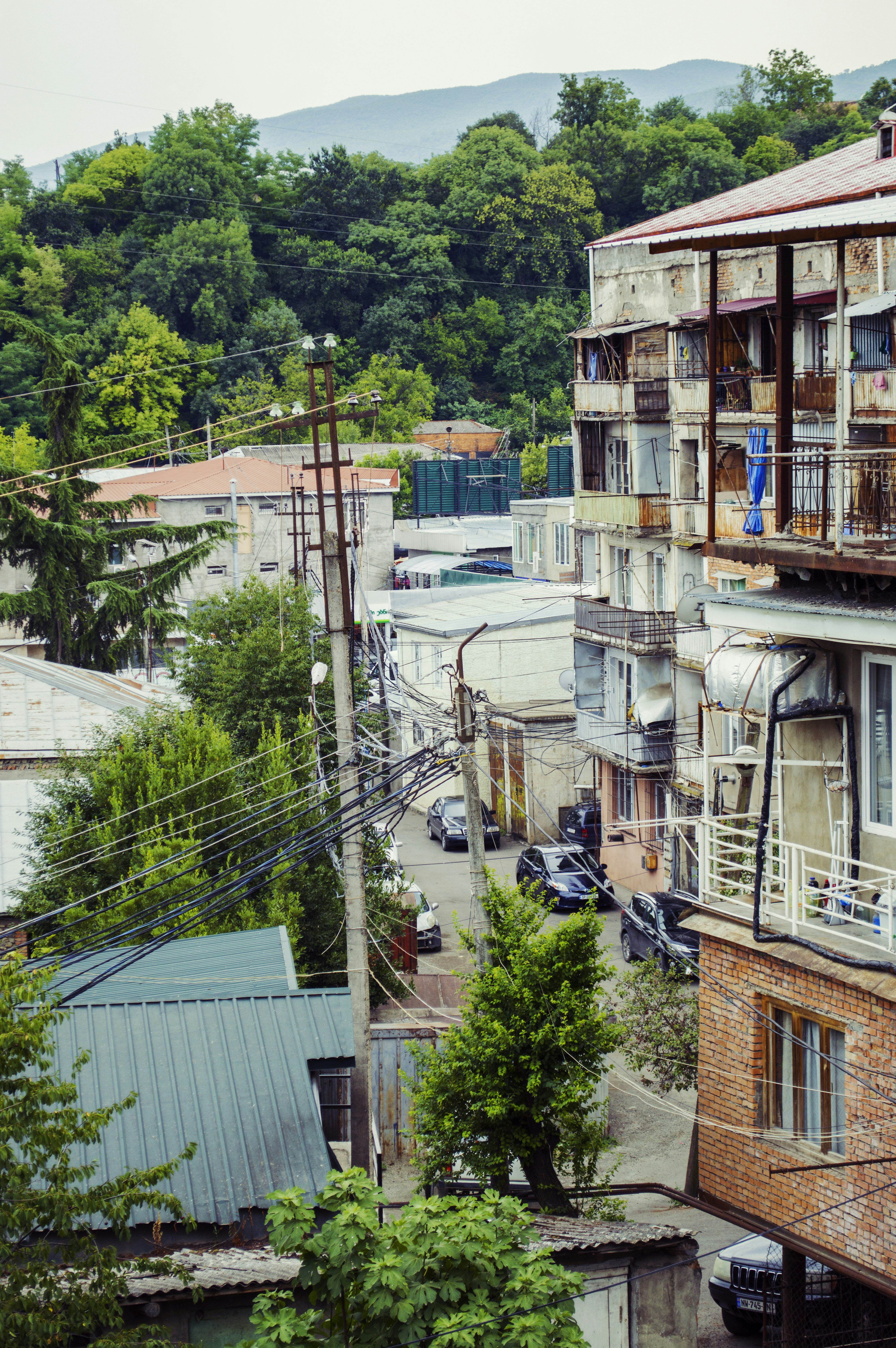 Mountain Cuisine and Local Flavors