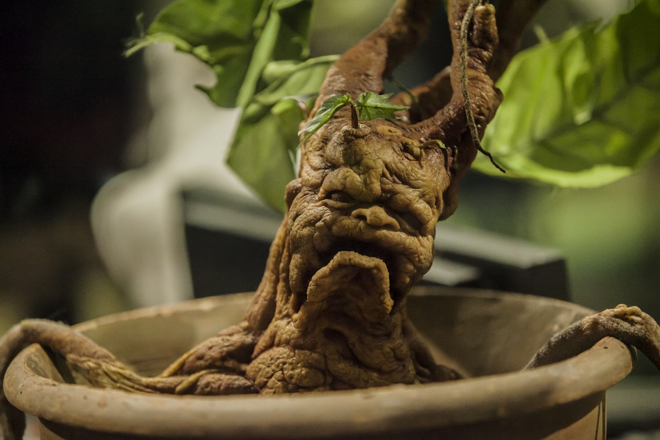 the mandrake - how jk rowling was strengthening writing by embedding in greek mythology