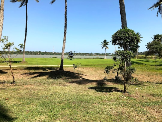 green grass field with trees under blue sky during daytime in Hambantota Sri Lanka