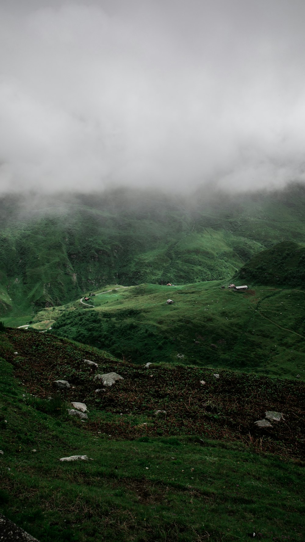 campo de hierba verde bajo nubes blancas durante el día