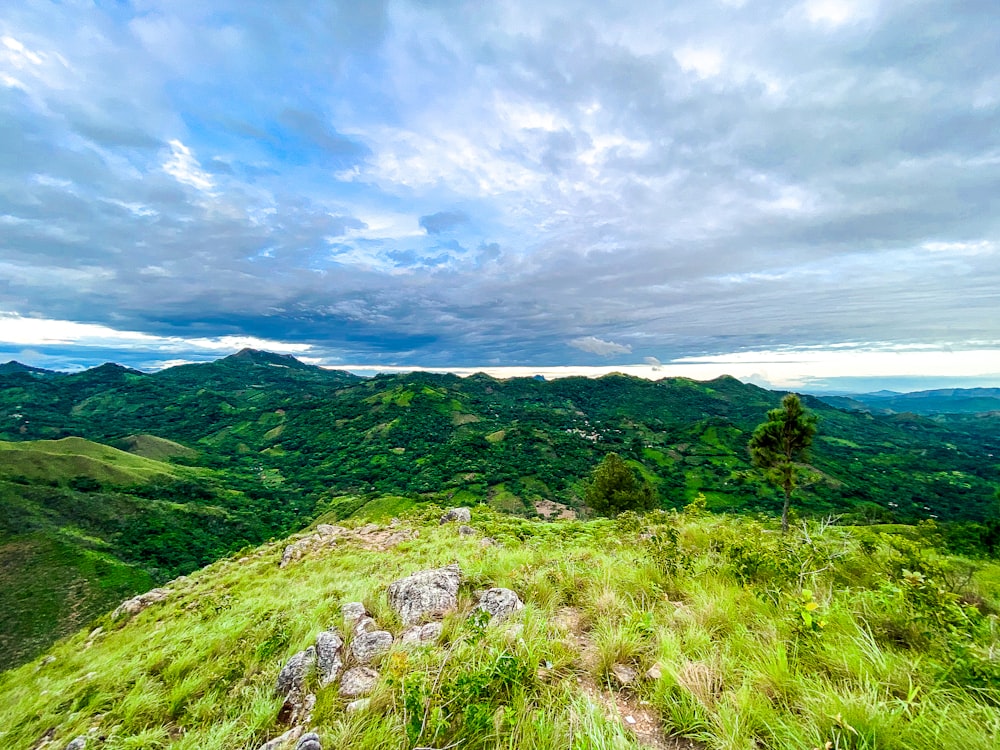 campo de hierba verde cerca del cuerpo de agua bajo nubes blancas y cielo azul durante el día