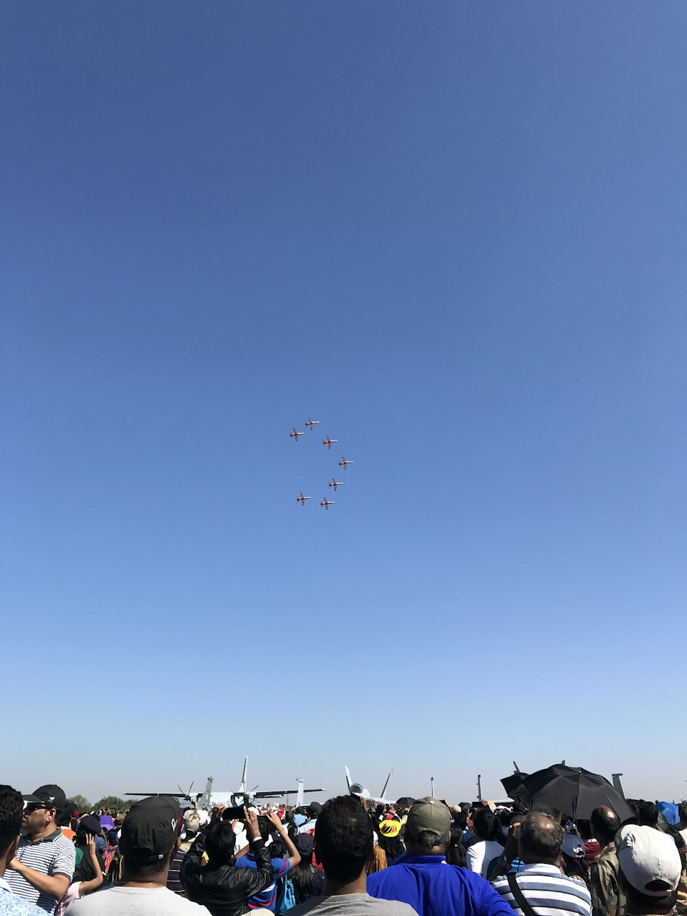 birds flying over the sky during daytime