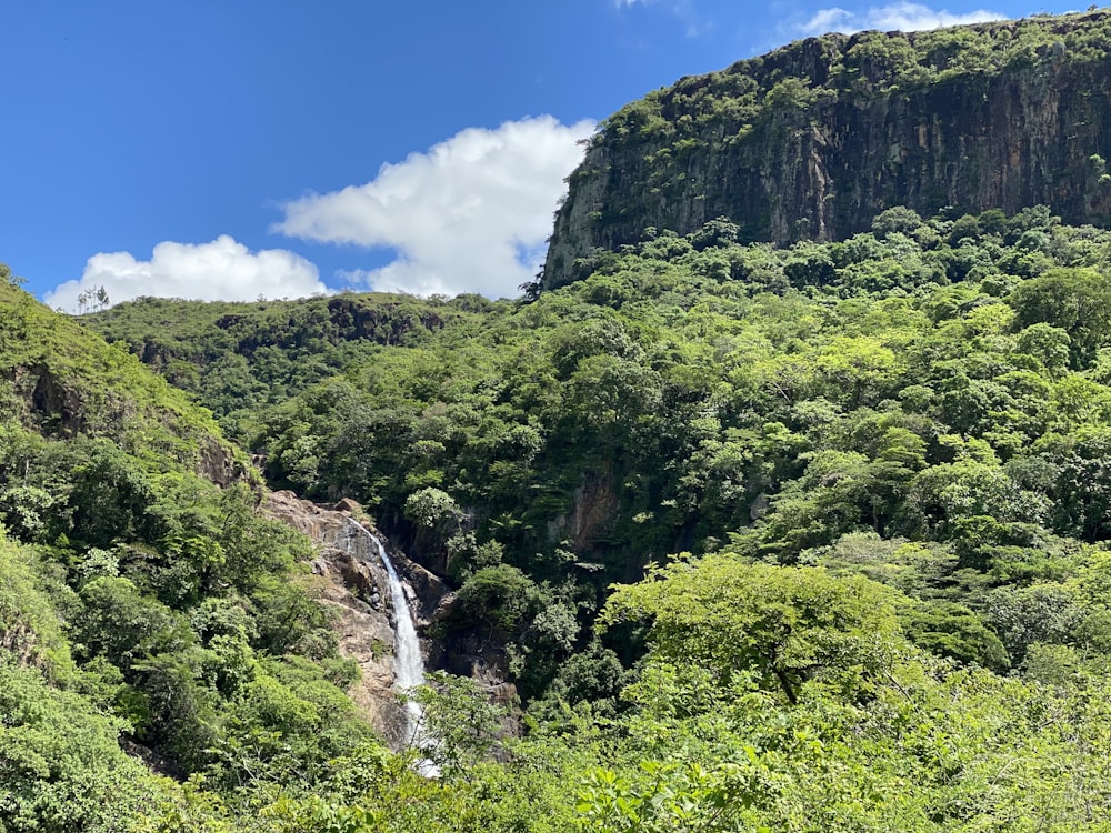 waterfalls in the middle of green trees under blue sky during daytime