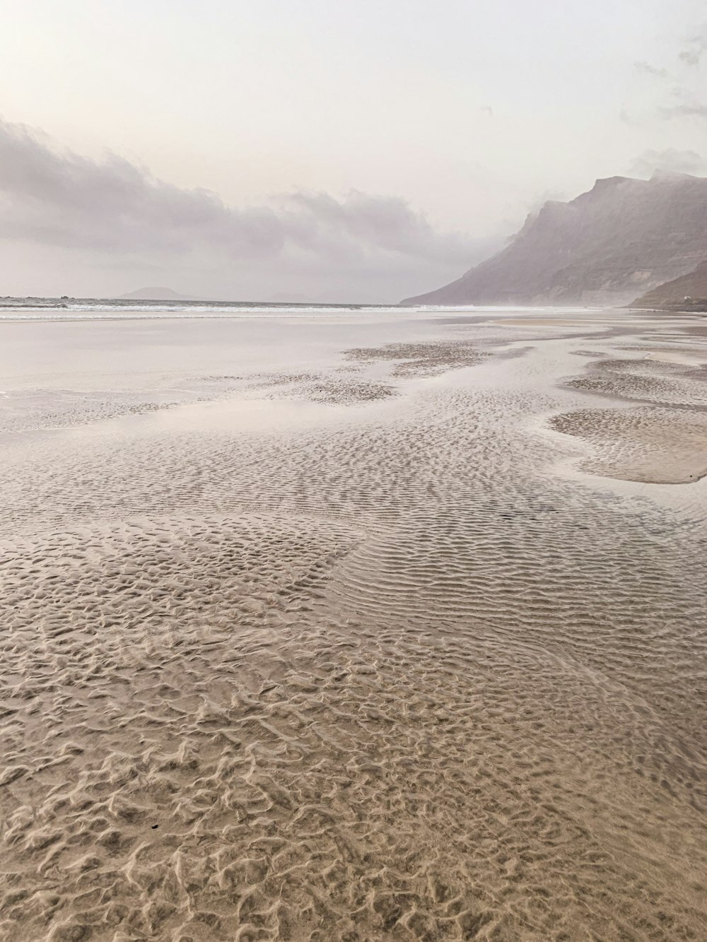 people walking on beach during daytime