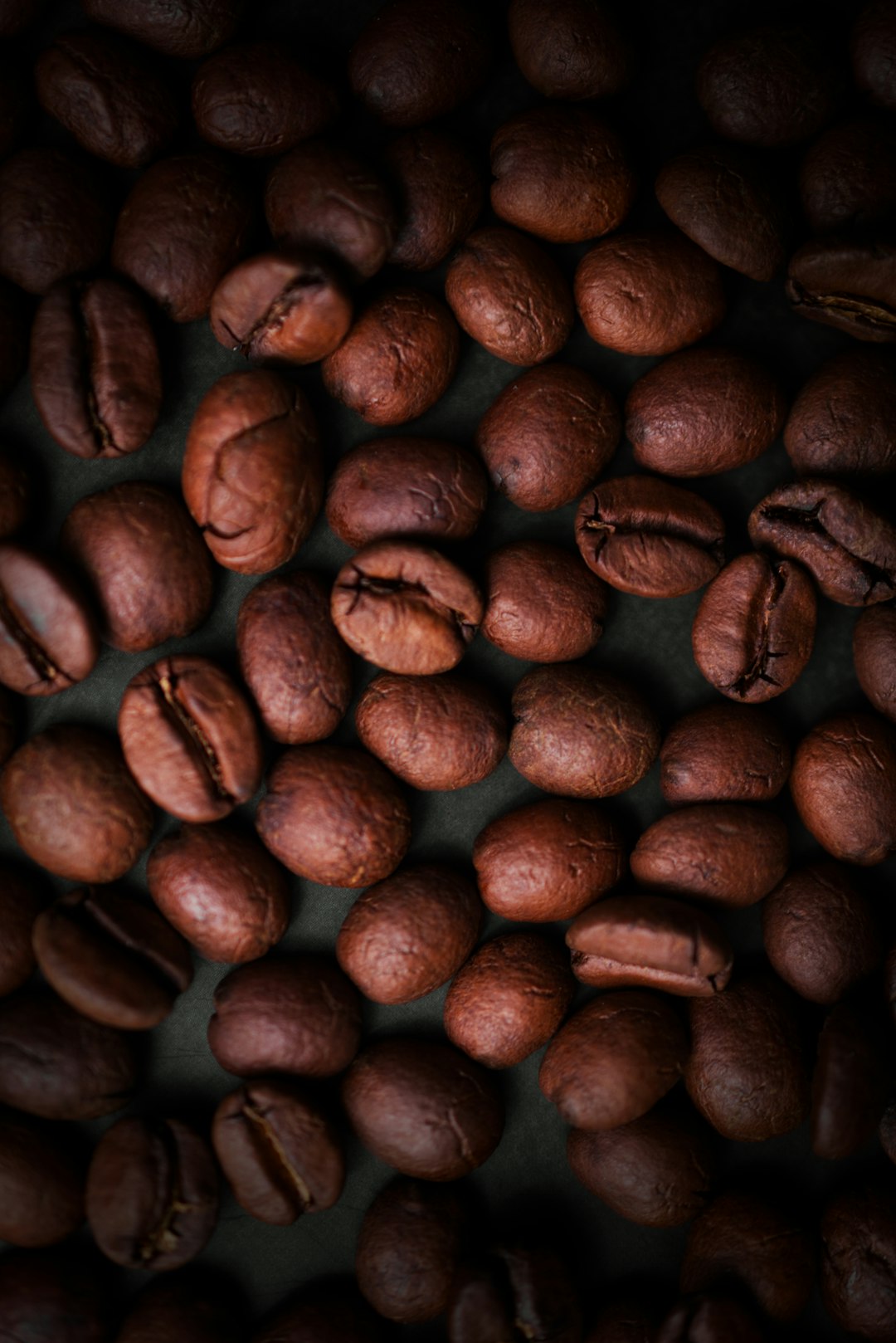 brown coffee beans in close up photography