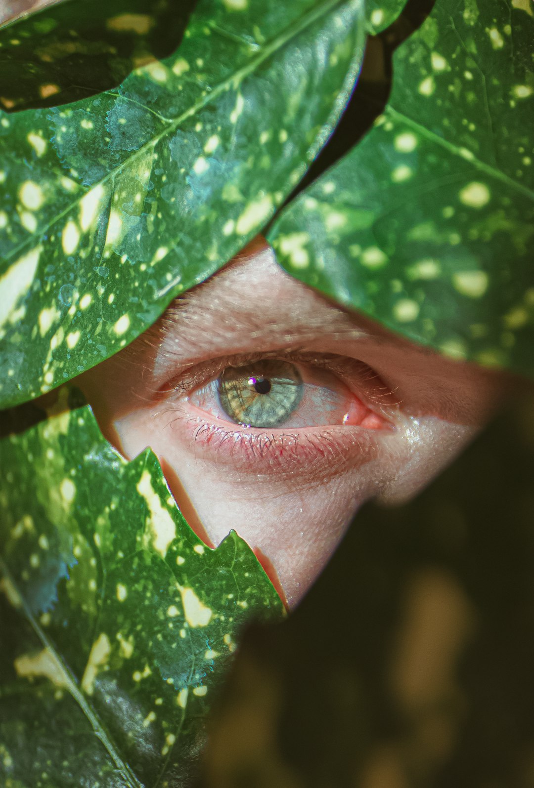persons eye covered with green leaves