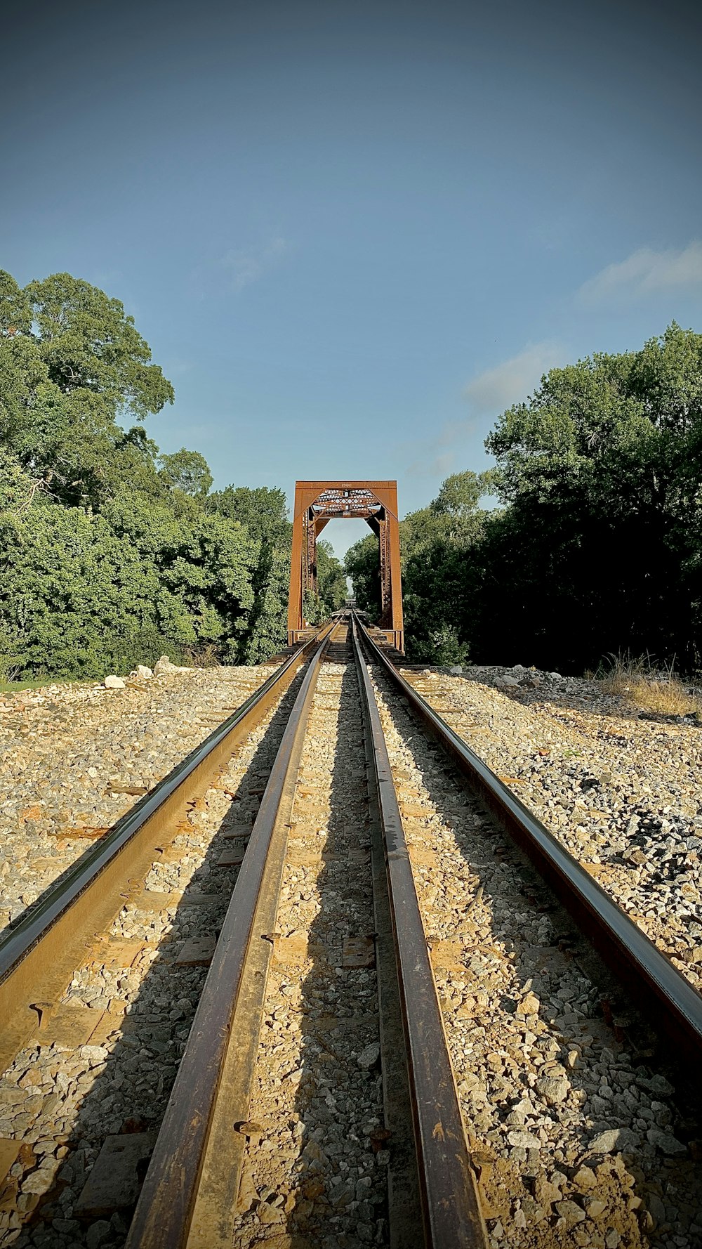 brown train rail near green trees during daytime