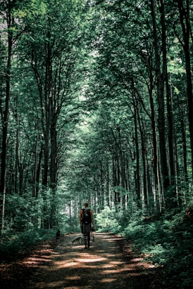 person in black jacket walking on pathway between trees during daytime