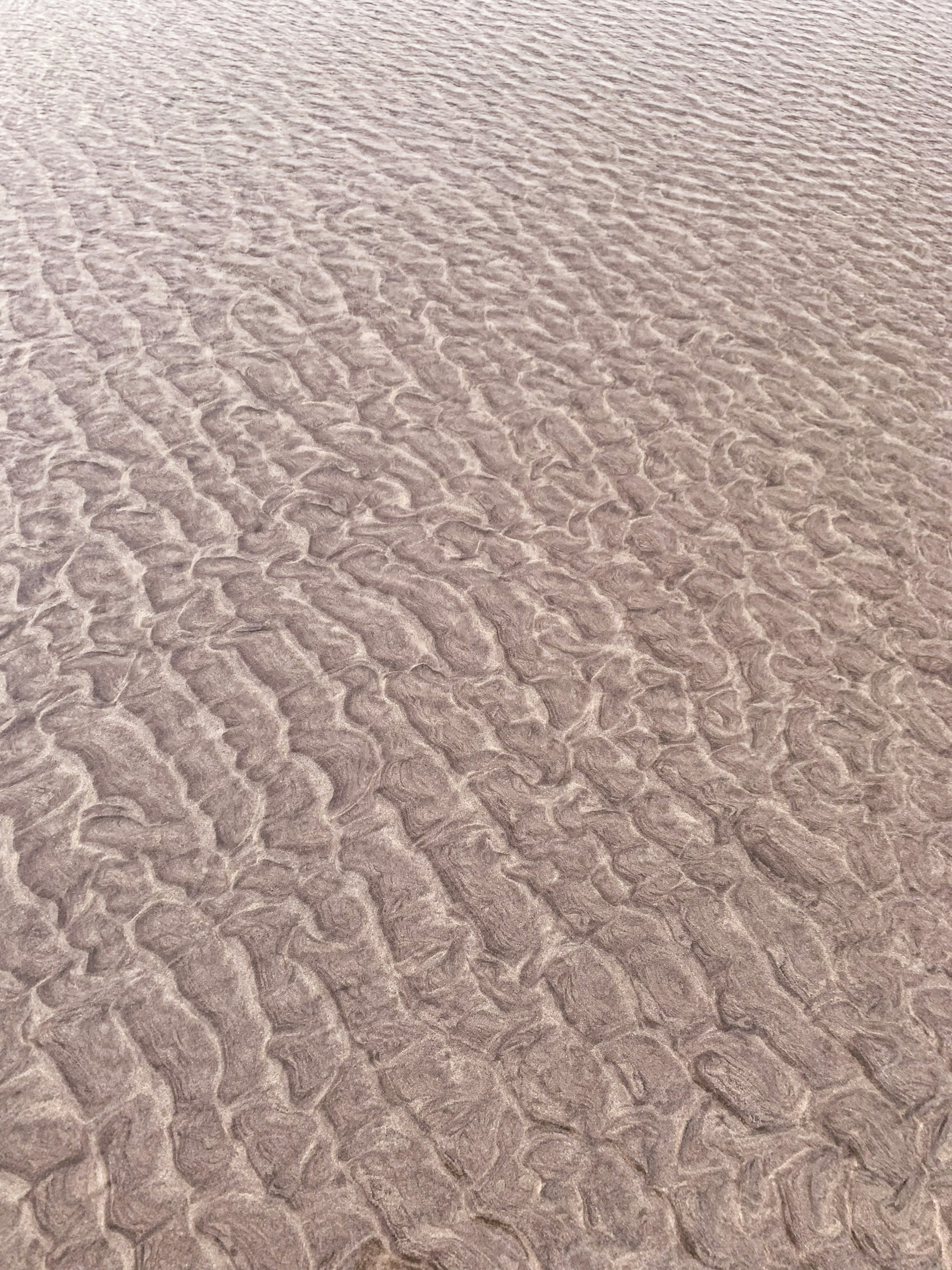 brown sand during day time