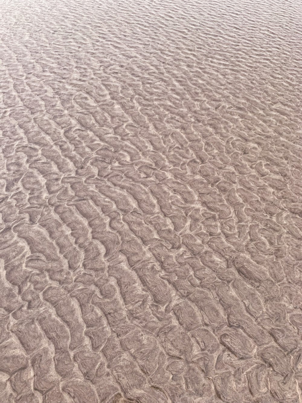 日中の茶色の砂浜