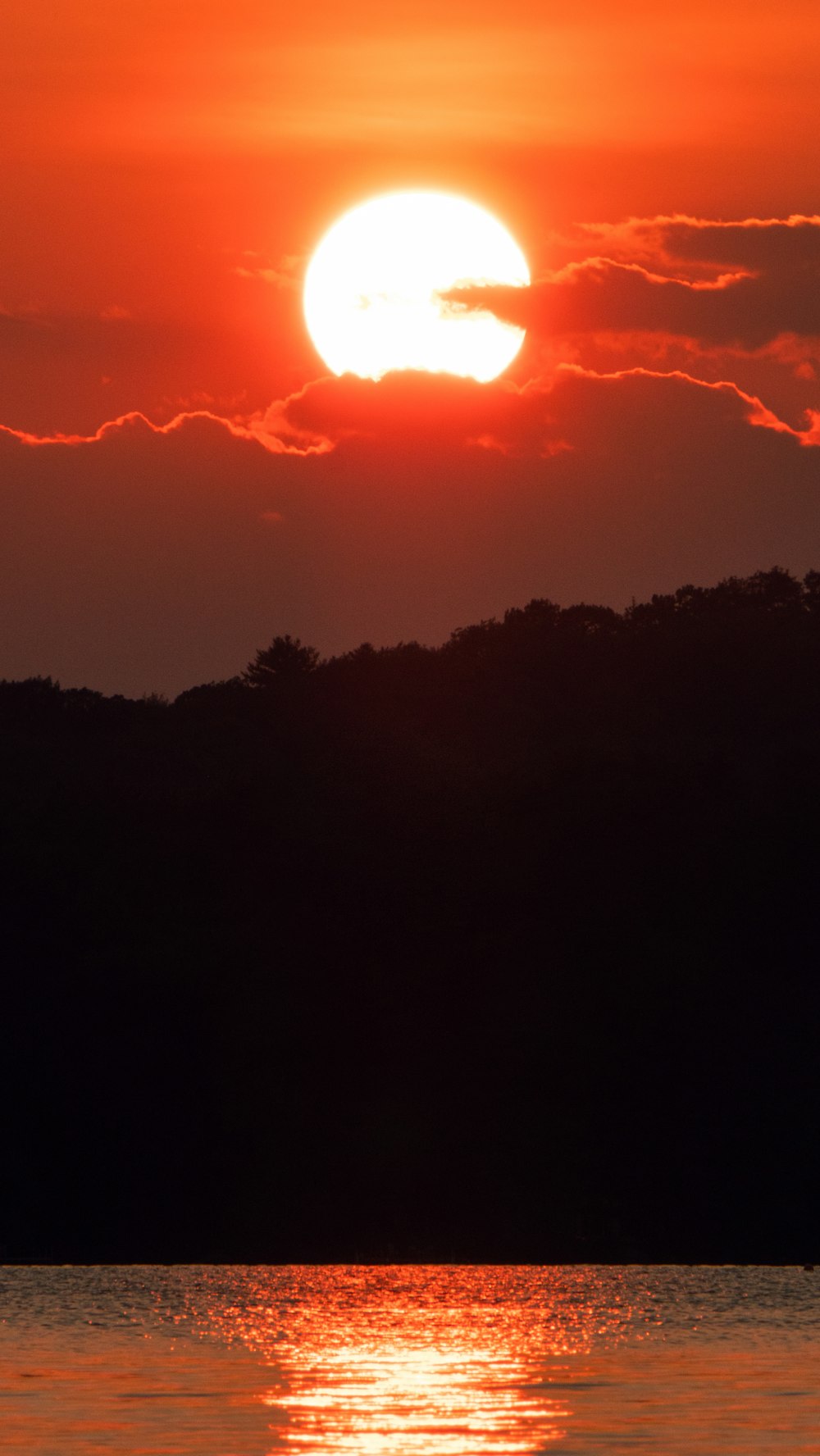 sol detrás de los árboles verdes durante la puesta del sol