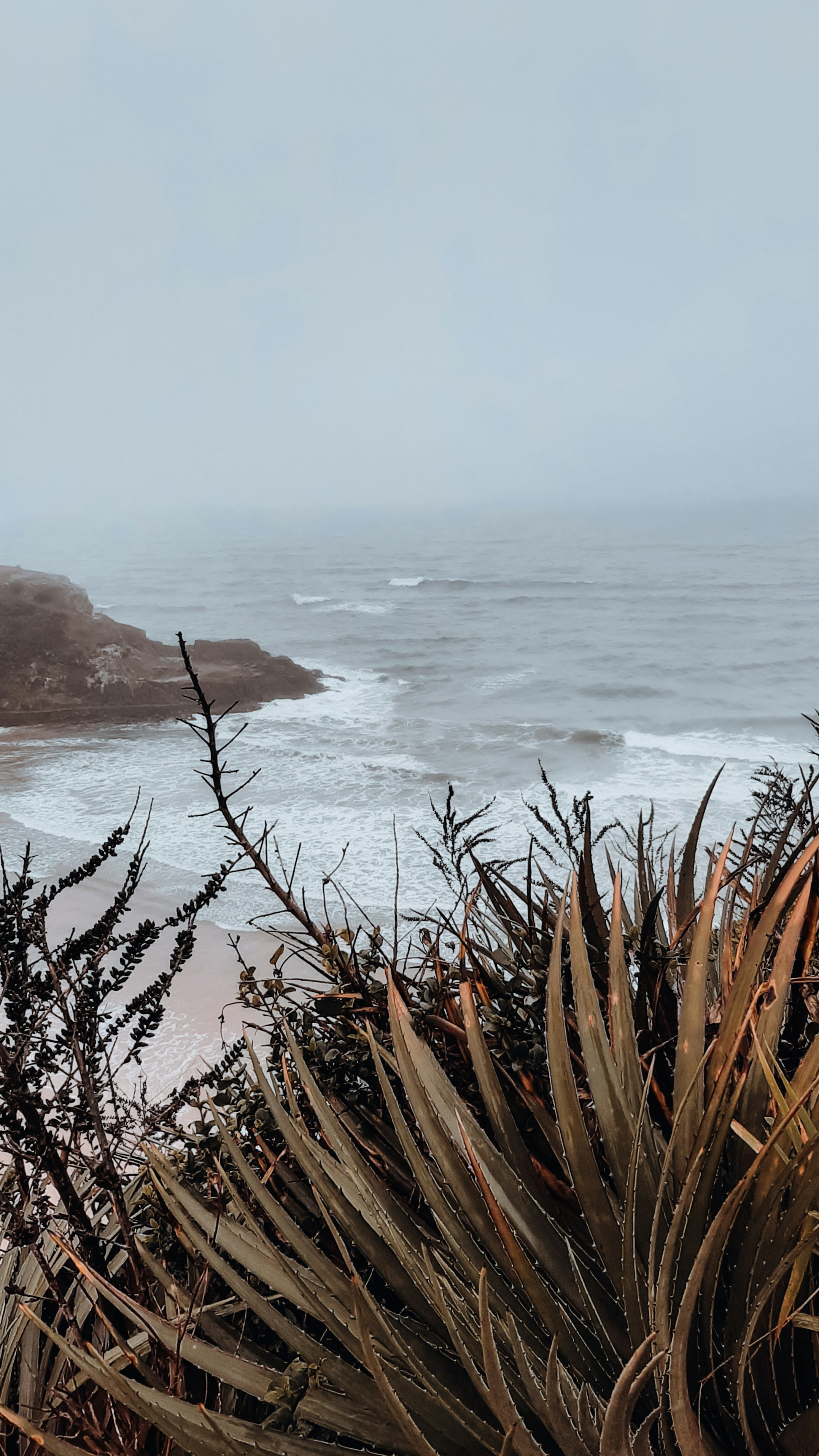 Photo by isabellamann