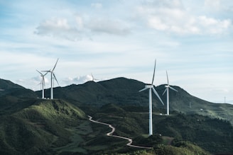 white wind turbines on green grass field under white cloudy sky during daytime