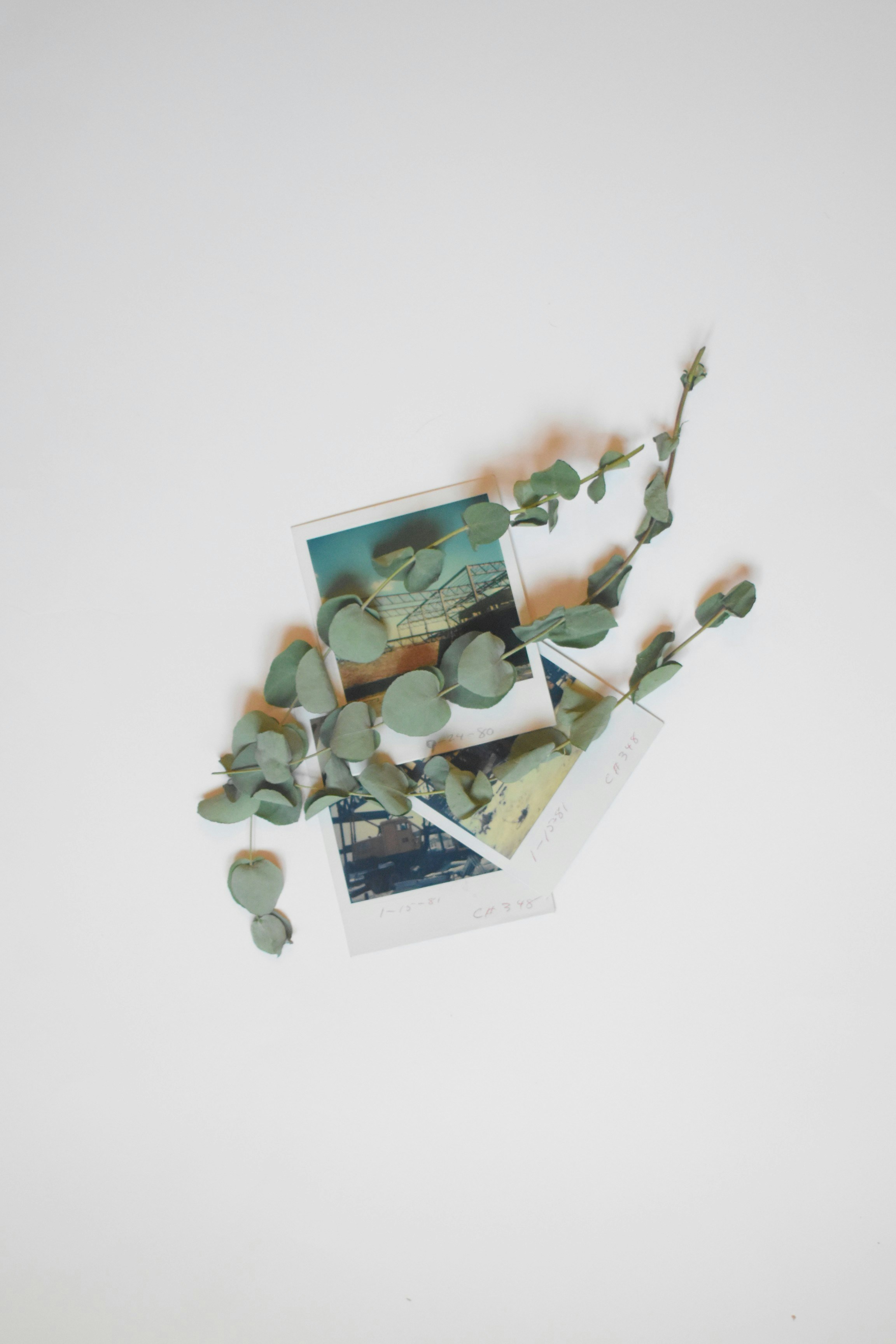 Photo by mariahhewines