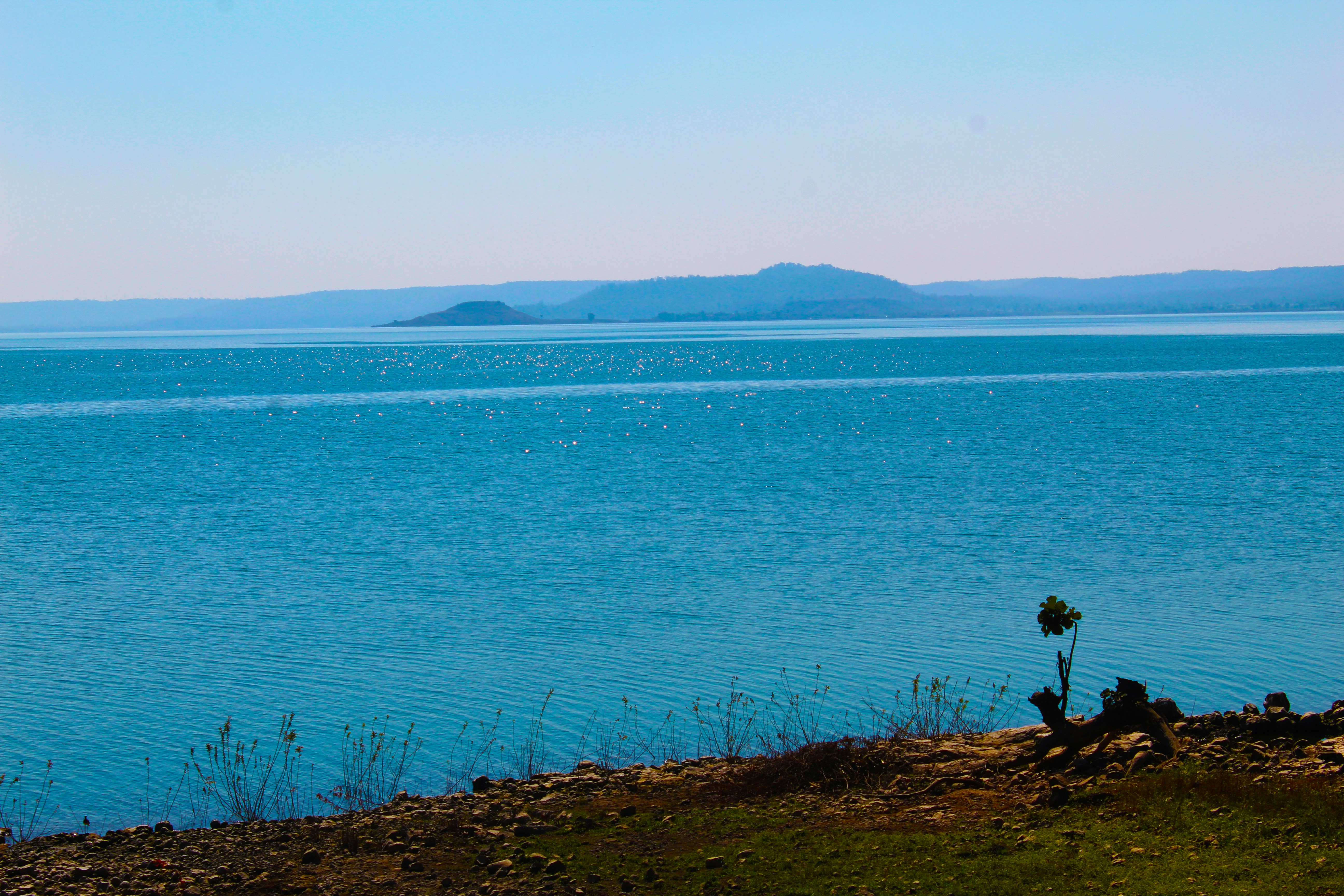 Photo by coolguyrishi