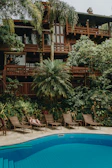 A lush tropical scene features a large wooden house surrounded by vibrant greenery, including palm trees and other lush plants. Below the house, a swimming pool reflects the blue sky. Several lounge chairs are placed along the poolside, and a person is relaxing on one of them, enjoying the tranquil atmosphere.