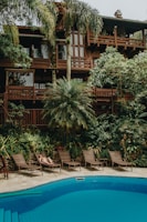 A lush tropical scene features a large wooden house surrounded by vibrant greenery, including palm trees and other lush plants. Below the house, a swimming pool reflects the blue sky. Several lounge chairs are placed along the poolside, and a person is relaxing on one of them, enjoying the tranquil atmosphere.