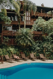 A lush tropical scene features a large wooden house surrounded by vibrant greenery, including palm trees and other lush plants. Below the house, a swimming pool reflects the blue sky. Several lounge chairs are placed along the poolside, and a person is relaxing on one of them, enjoying the tranquil atmosphere.