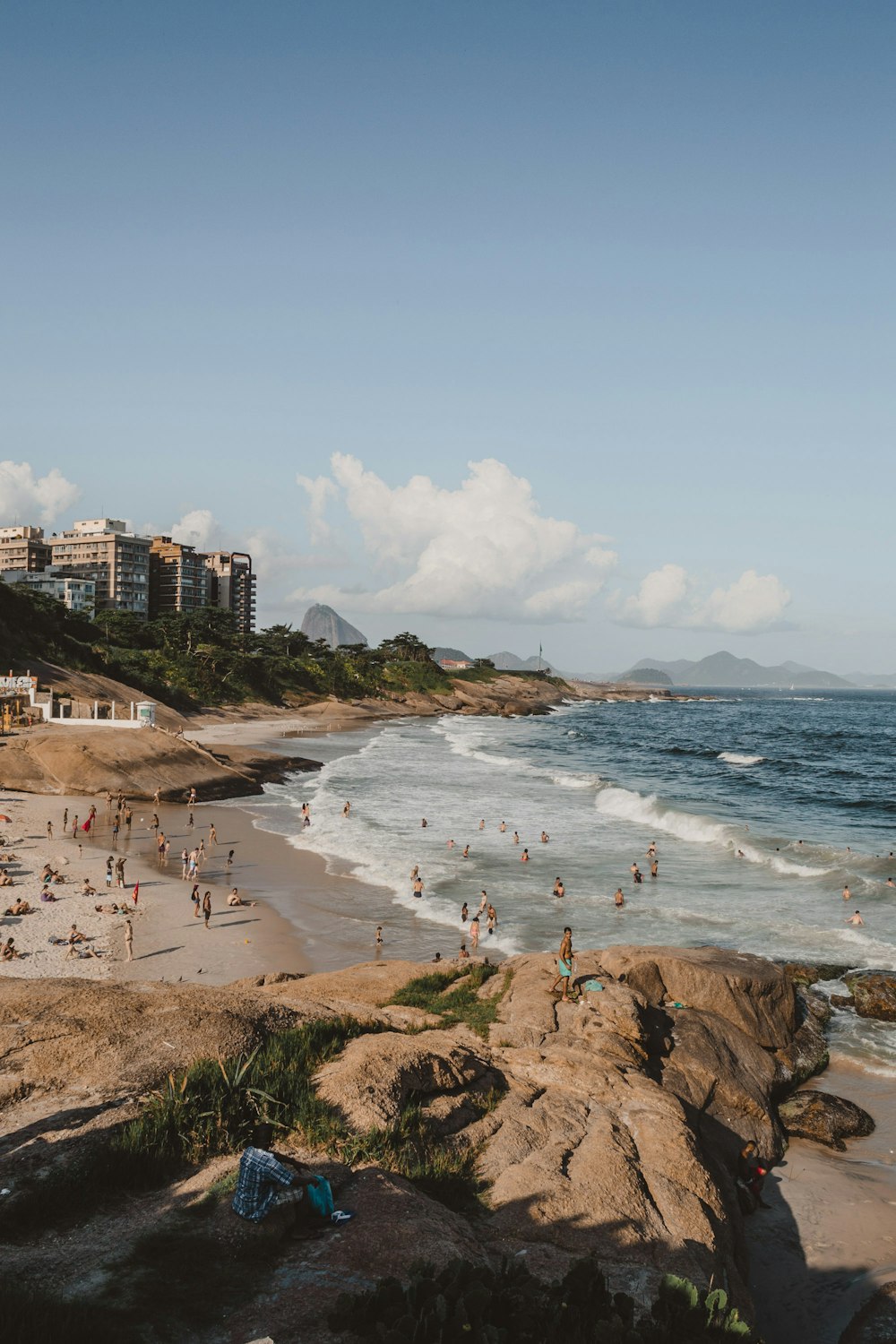 people on beach during daytime