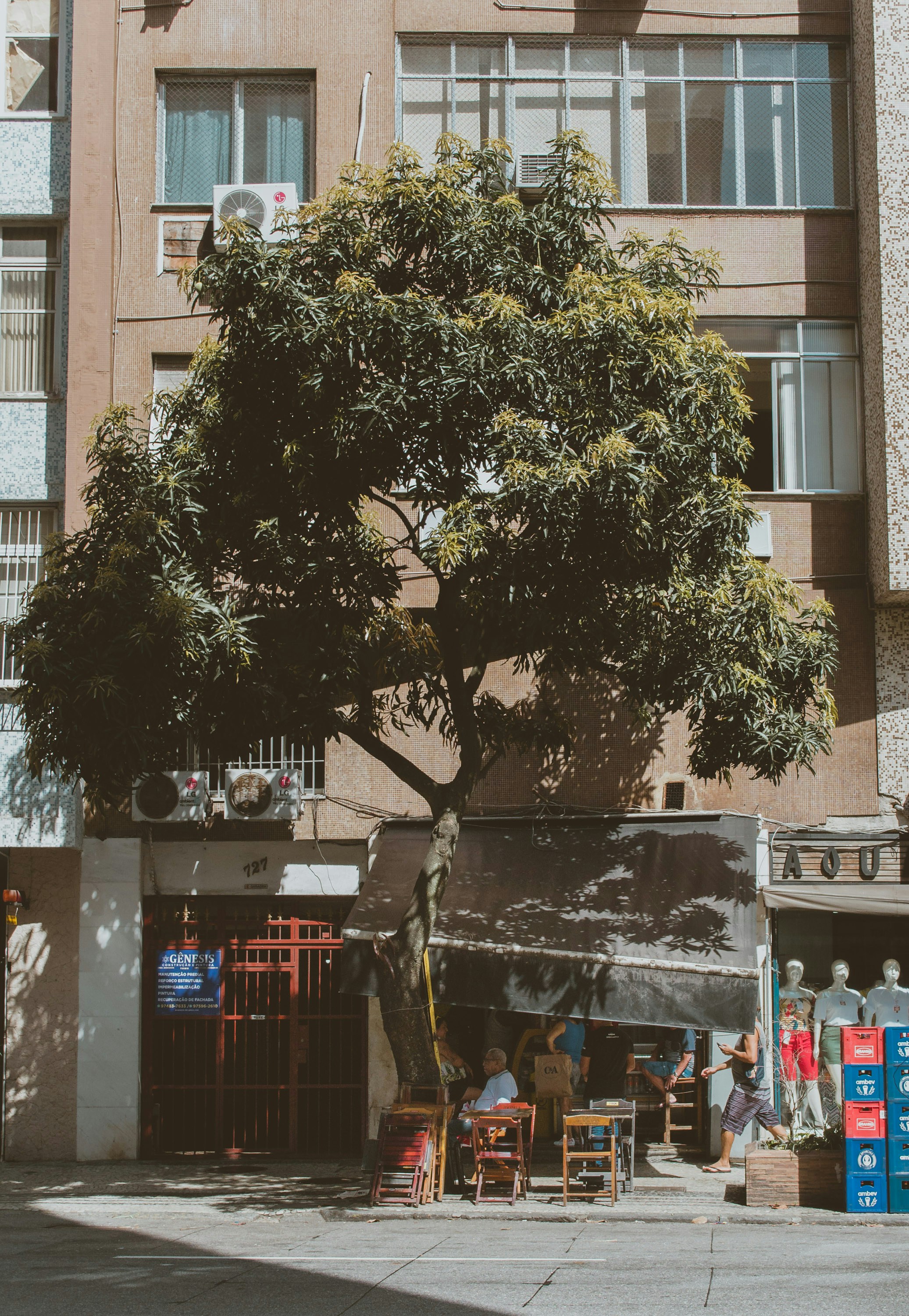 Photo by paulofreitasph