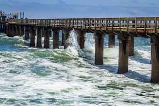 brown wooden dock on sea during daytime