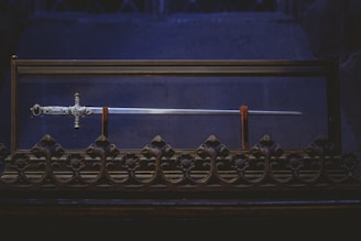 A beautifully crafted sword displayed in a glass case, featuring an intricately designed hilt and a long gleaming blade. The case rests on an ornate base with decorative floral patterns, set against a dark, ambient background.