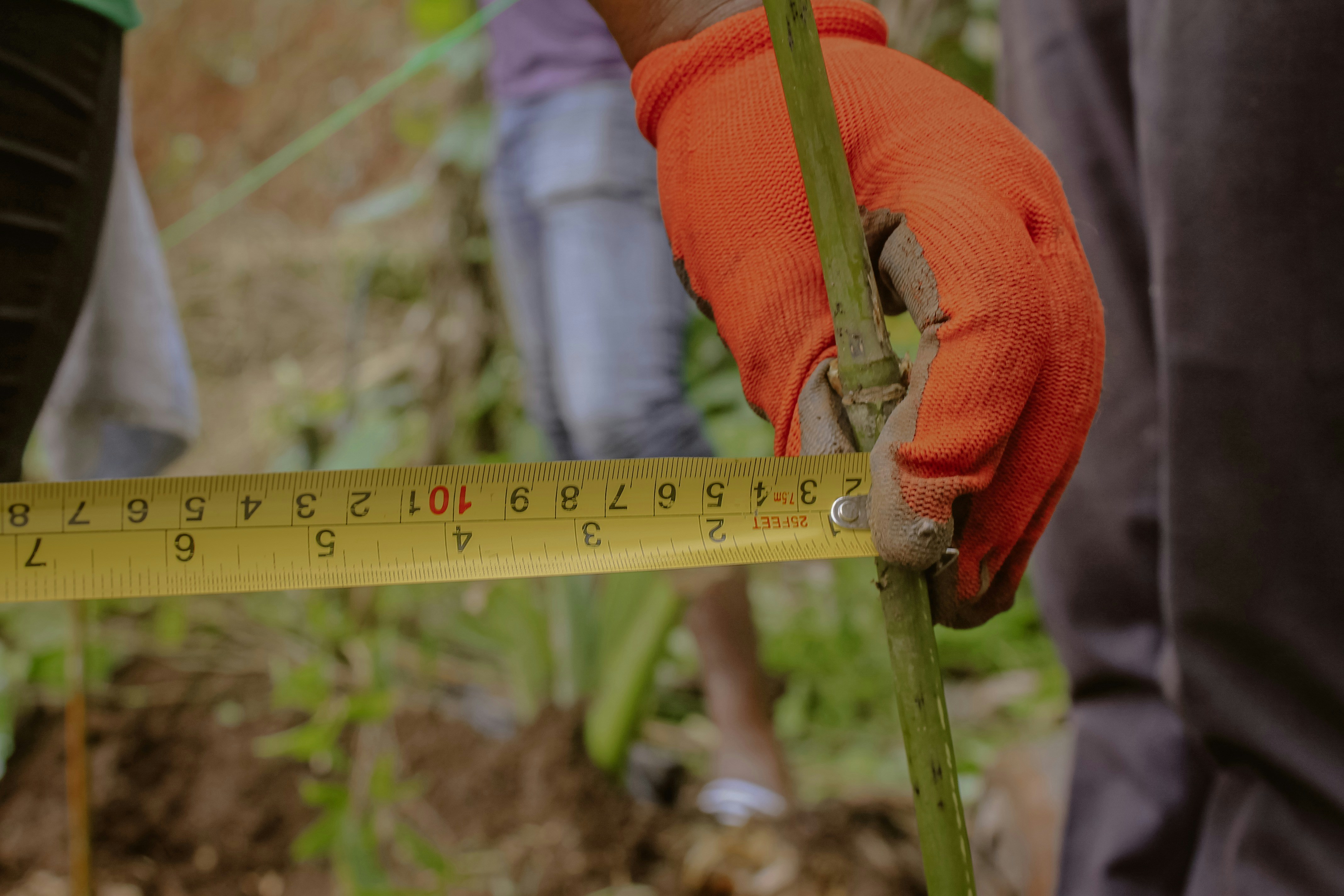 Tape measurement