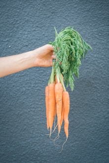 person holding orange carrots during daytime