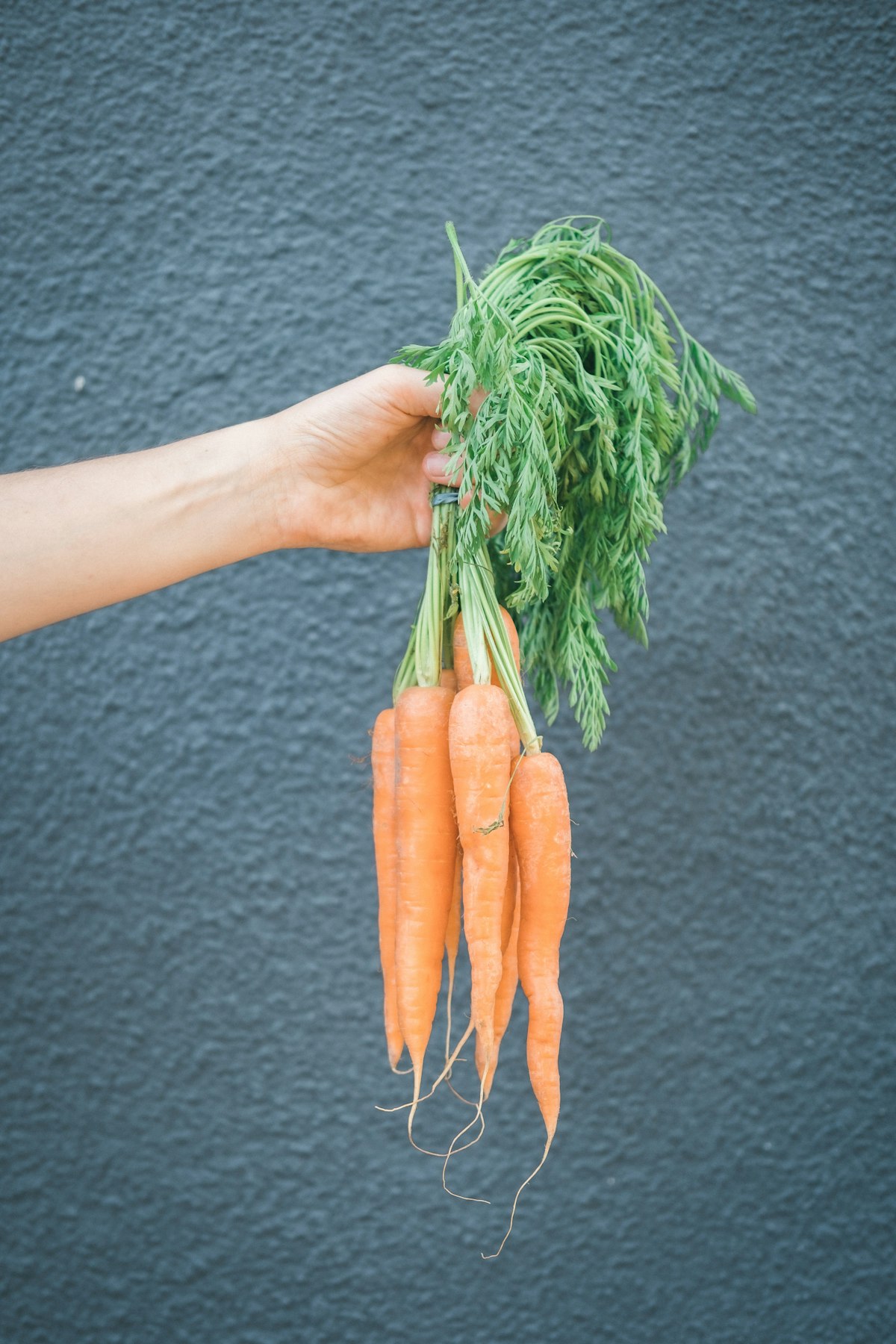 Oxford’s allotmenteers face a fees hike