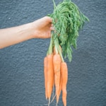 person holding orange carrots during daytime, growing your own food, peace solitude, financial education
Photo by Dan Burton on Unsplash