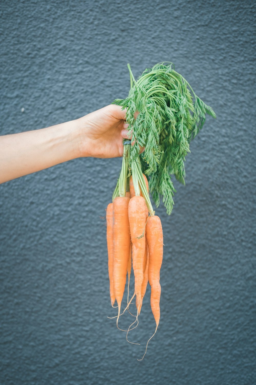 person holding orange carrots during daytime