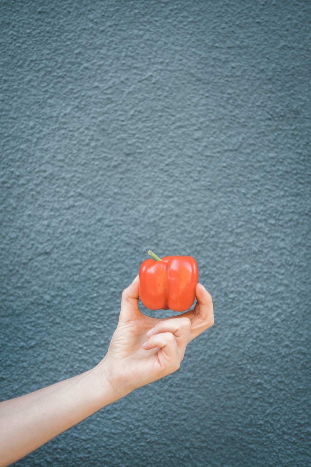 person holding red bell pepper