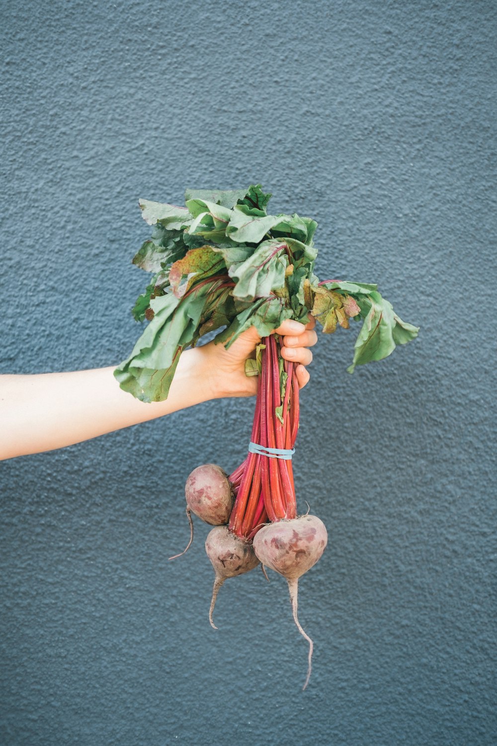 personne tenant des légumes verts et bruns