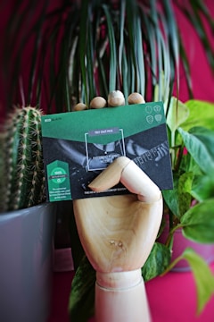 A wooden mannequin hand holds a green and black product package with text and graphics. The background features vibrant plants, including a cactus and large leafy green plant, set against a pink wall.