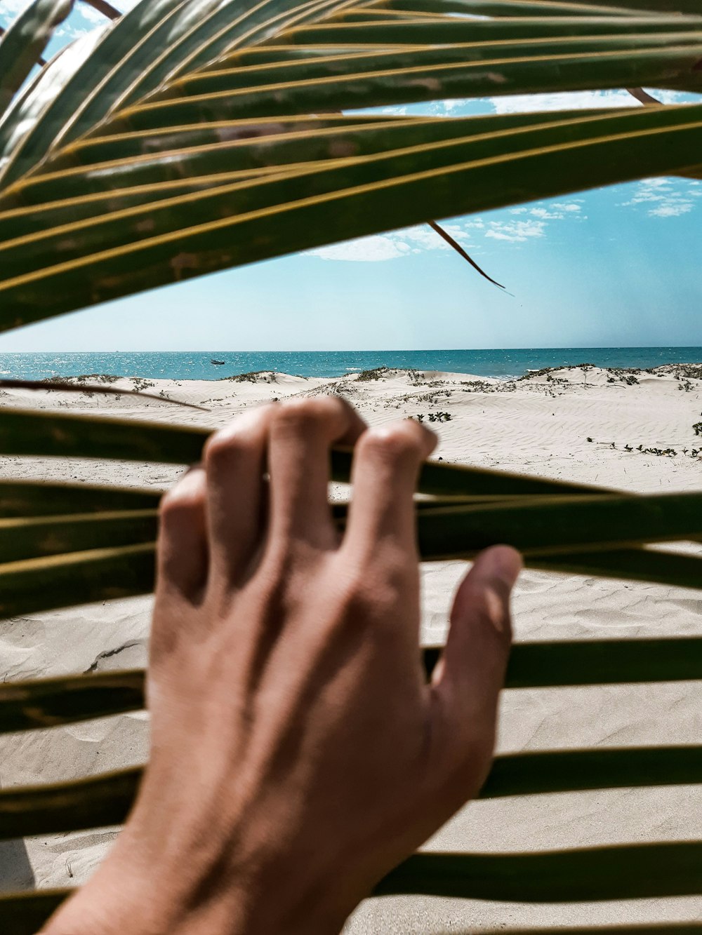 Mano de las personas en el banco de madera verde cerca de la playa durante el día